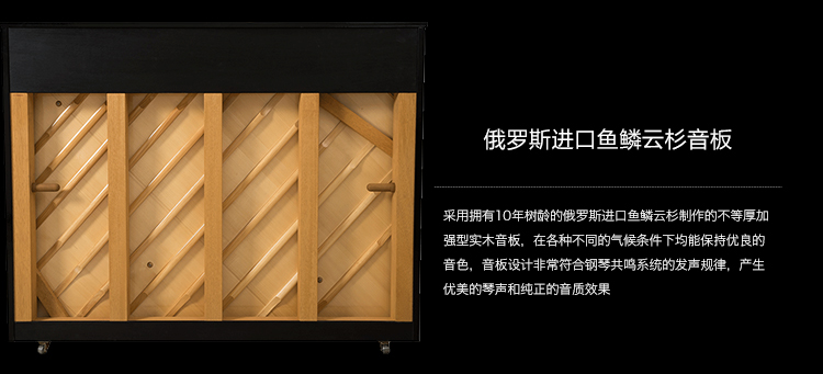 珠江钢琴UP119QS出租-音板图