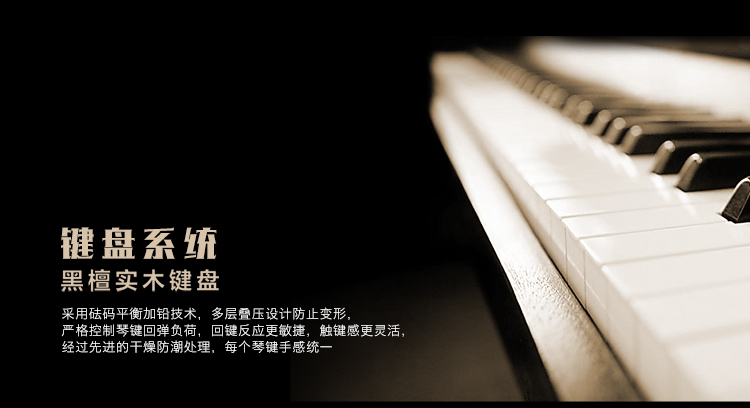 珠江up119-钢琴键盘系统